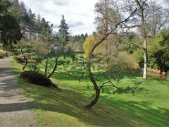 149 PARC ORIENTAL DE MAULEVIER MAINE ET LOIRE 2016 N0_000036